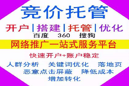 竞价排名在电商行业的实战案例